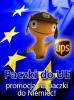 Przesyłki kurierskie do krajów UE (niemiecki UPS)